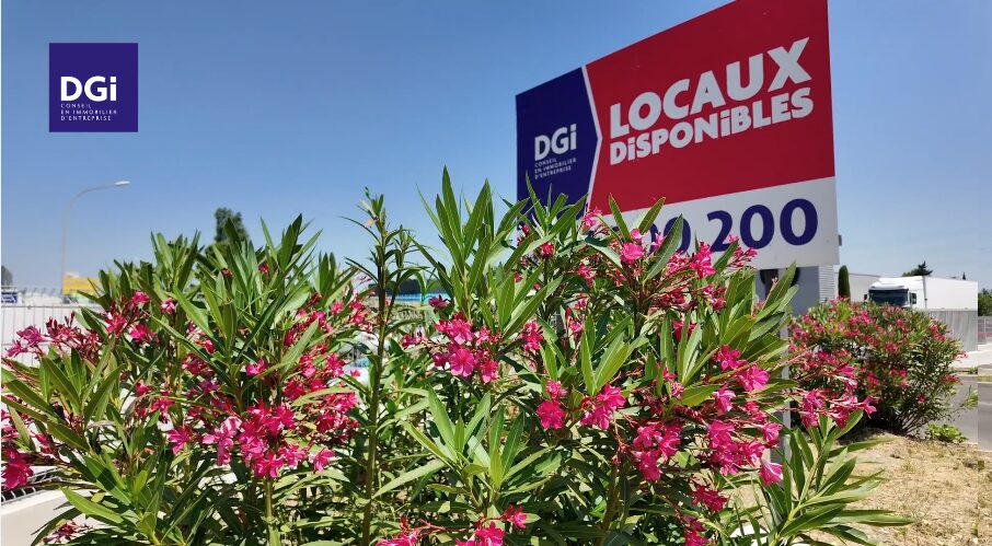 location commerce mas des rosiers nimes
