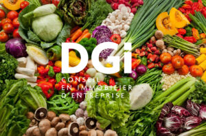 location commerce marechal juin nimes