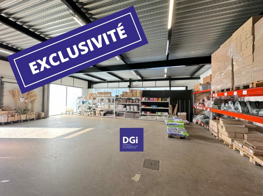 entrepôt à vendre caissargues