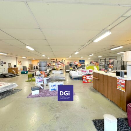 vente local commercial ales sud