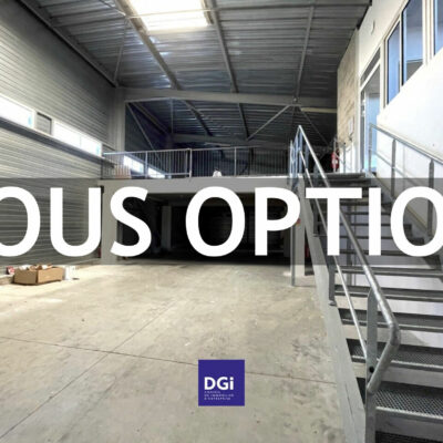 A VENDRE OU A LOUER, Locaux d&rsquo;activités à MARGUERITTES – 1271212-0