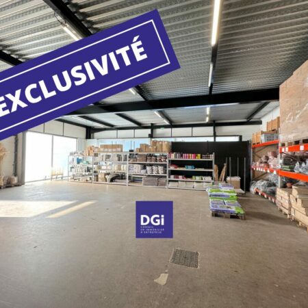 entrepôt à vendre caissargues