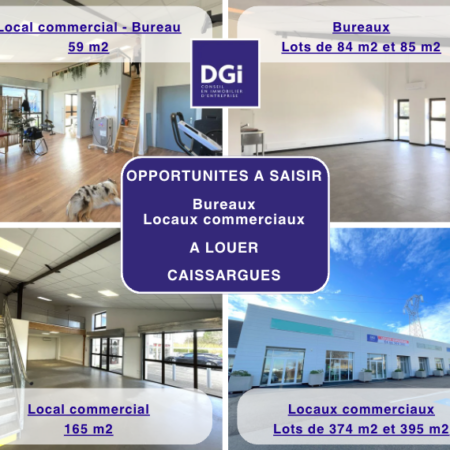 bureaux commerces a louer caissargues