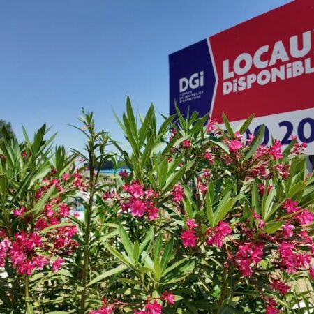location commerce mas des rosiers nimes